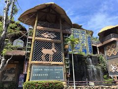 -海南槟榔谷黎苗文化旅游区