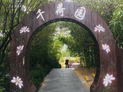 -泗洪洪泽湖湿地景区