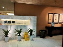 -芙蓉凰花园酒楼