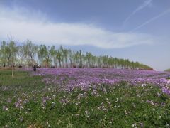 -洨河生态公园