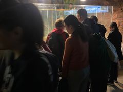 -洛阳龙门海洋馆