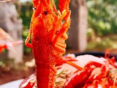 -悦融·京鲁菜·露台花园(安定门店)