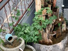 -悦真雅院·四合院·清真私房菜(雍和宫店)