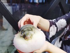 -肆月河豚·新淮扬(金融街店)