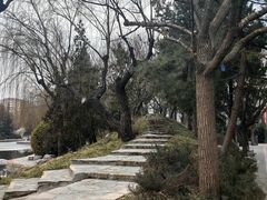-团结湖公园