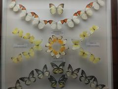 -陕西自然博物馆