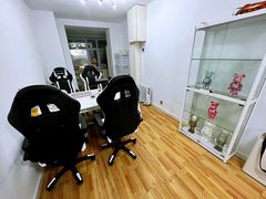 -青奢宠物·青奢猫舍