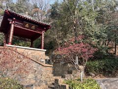 -北极阁公园