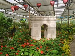 -南宫五洲植物乐园