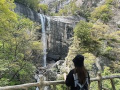 -洛阳白云山景区