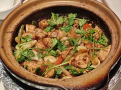-煲煲好(朝阳门店)