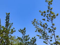 -泗洪洪泽湖湿地景区