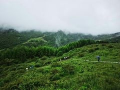 -硗碛藏寨·神木垒景区