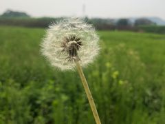 -良渚古城遗址公园
