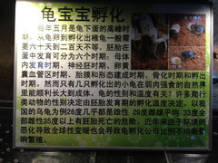9.0-上海大自然野生昆虫馆