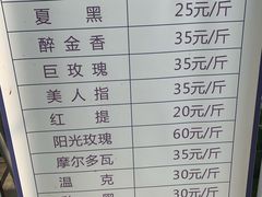 -金谷域澳洲庄园