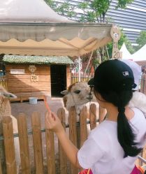 -萌宠亲子动物乐园(槐房万达店)