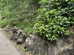 -宋宴(虎跑店)