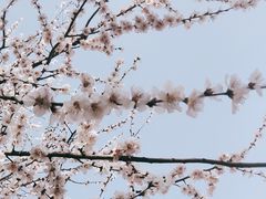 -泰丰公园