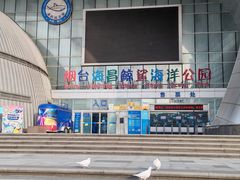 -烟台海昌鲸鲨海洋公园