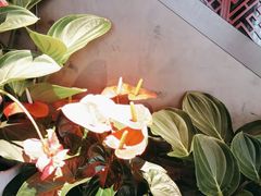 -喜湘宴·精致湖南菜(和平西桥店)