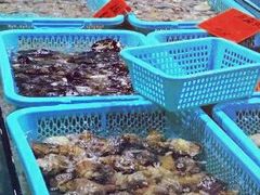 -渔傅·蓝海岸霞浦海鲜(正祥店)