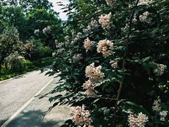 -老君堂公园