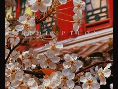 -潭柘寺景区