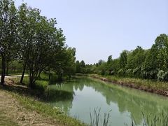 -泗洪洪泽湖湿地景区