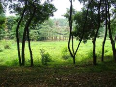 -南宁良凤江国家森林公园