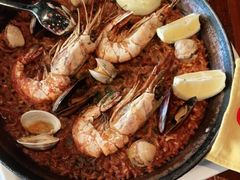 -TOMATITO(无限极荟店)