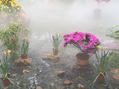 -南通洲际绿博园