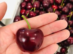 -江杨农产品批发市场