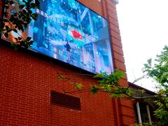 -上海交通大学医学院附属瑞金医院(总院)