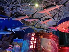 -烟台海昌鲸鲨海洋公园