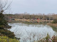 -宜兴龙背山森林公园