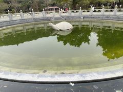 -顺峰山公园