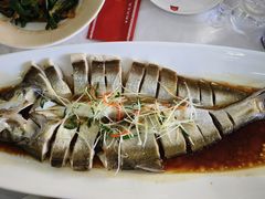 -九头鸟酒家(东高地店)