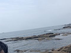 -老太太海鲜城(森林公园任家台店)