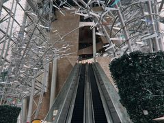 -80M 巴士专门店