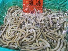 -渔傅·蓝海岸霞浦海鲜(正祥店)