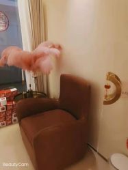 -LORI SPA洛丽汇 美肤抗衰SPA中心