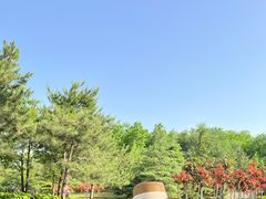 -北坞公园