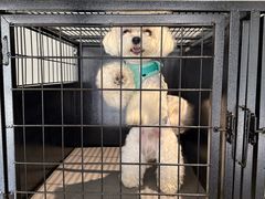 -阿那亚第六食堂(文创街区店)