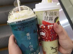 -雾与山茶(大禹城店)