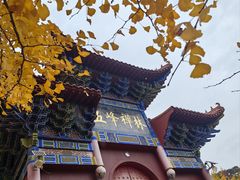 -遵化市禅林寺古银杏风景园