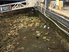 -固兰湖岛