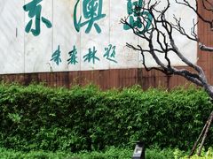 -东澳岛