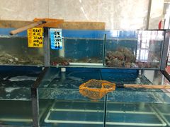 水产区-渔民船说·北塘海鲜·天津菜·海肠捞饭(北塘古镇店)