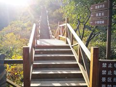 -大岭沟猕猴桃谷风景区